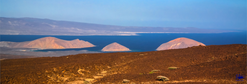 Fishing Djibouti