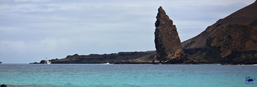 Fishing Galapagos